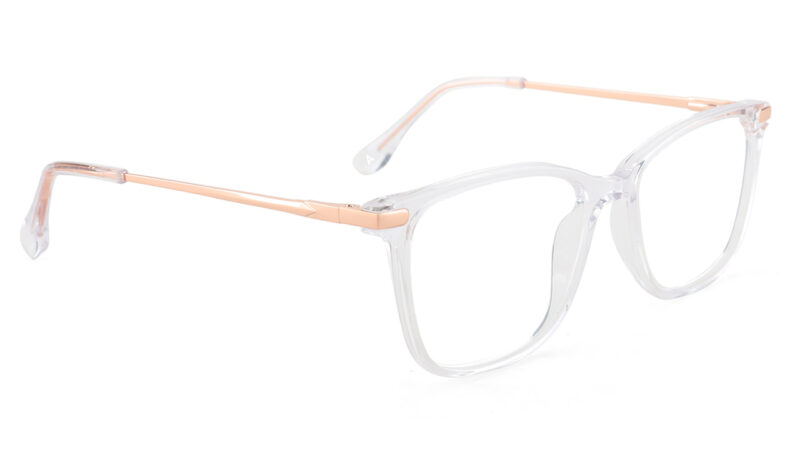 Lentes transparente de moda