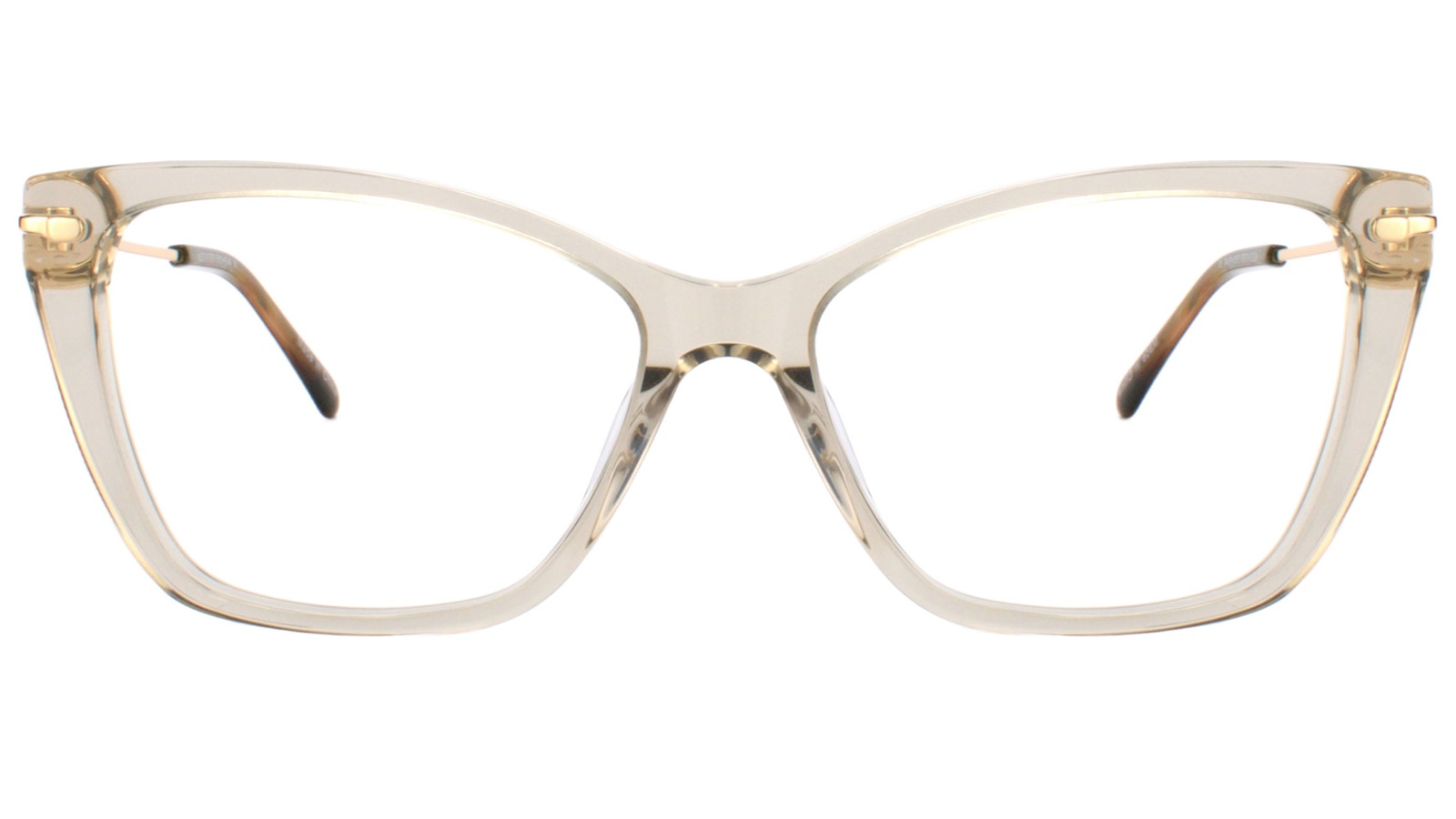 AE6203c2-01 Armazon de acetato traslucido para mujer